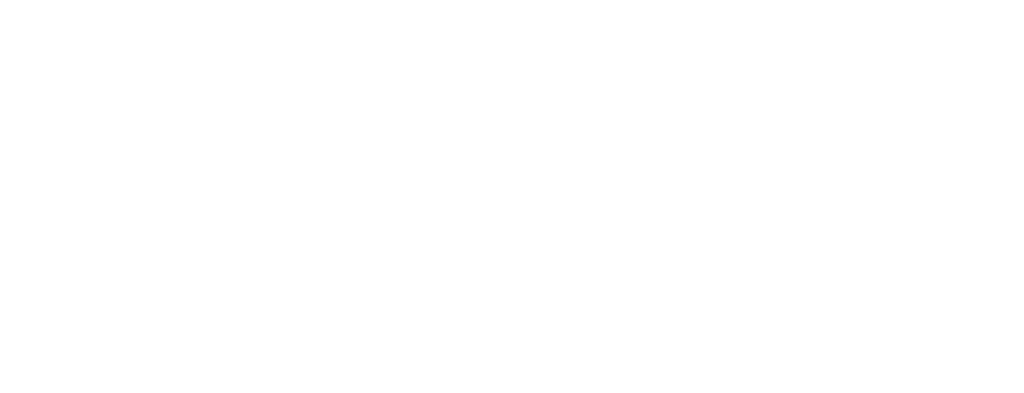 FlipIt